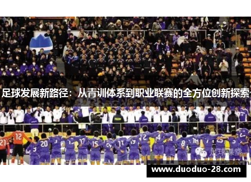 足球发展新路径:从青训体系到职业联赛的全方位创新探索 足球发展新路径:从青训体系到职业联赛的全方位创新探索