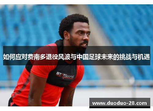 如何应对费南多退役风波与中国足球未来的挑战与机遇