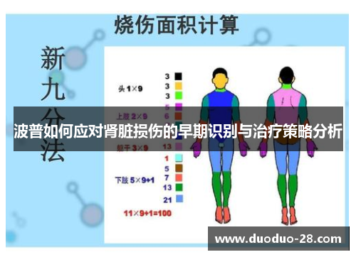 波普如何应对肾脏损伤的早期识别与治疗策略分析 波普如何应对肾脏损伤的早期识别与治疗策略分析