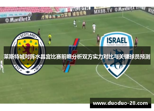 莱斯特城对阵水晶宫比赛前瞻分析双方实力对比与关键球员预测