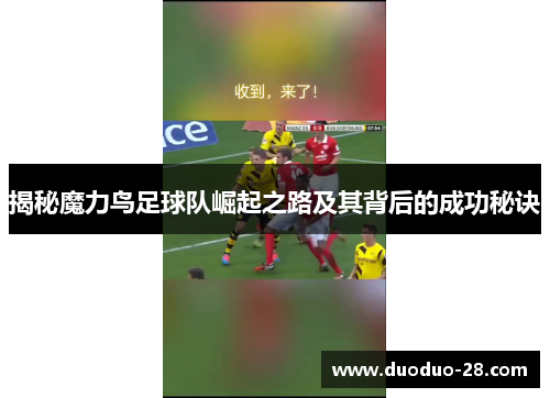 揭秘魔力鸟足球队崛起之路及其背后的成功秘诀 揭秘魔力鸟足球队崛起之路及其背后的成功秘诀