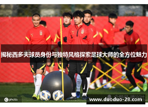 揭秘西多夫球员身份与独特风格探索足球大师的全方位魅力